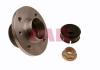 FAG 713630890 Wheel Bearing Kit