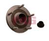 FAG 713678730 Wheel Bearing Kit