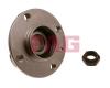 FAG 713665250 Wheel Bearing Kit