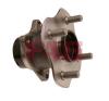 FAG 713618680 Wheel Bearing Kit