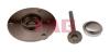 FAG 713667330 Wheel Bearing Kit