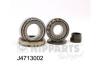 NIPPARTS J4713002 Wheel Bearing Kit