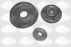 SASIC 4005229 Repair Kit, suspension strut