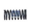 DT 1.10005 (110005) Valve Spring