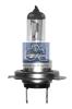 DT 2.27227 (227227) Bulb, headlight
