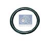 DT 4.20443 (420443) Seal Ring