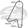 GATES 5239 Timing Belt