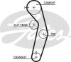 GATES 5441XS Timing Belt
