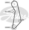 GATES 5489XS Timing Belt