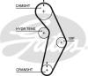 GATES T245 Timing Belt