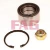 FAG 713615140 Wheel Bearing Kit