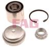 FAG 713667320 Wheel Bearing Kit