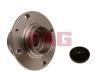 FAG 713610530 Wheel Bearing Kit