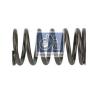 DT 1.10317 (110317) Valve Spring