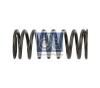 DT 1.10318 (110318) Valve Spring