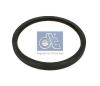 DT 2.10051 (210051) Shaft Seal, crankshaft