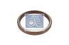 DT 2.16251 (216251) Shaft Seal, wheel hub
