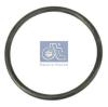 DT 4.20023 (420023) Seal Ring