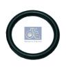 DT 4.20448 (420448) Seal, charger