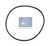 DT 4.20455 (420455) Seal Ring