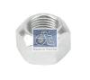 DT 9.34004 (934004) Nut, spring support axle