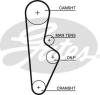 GATES 5082XS Timing Belt