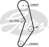 GATES 5503XS Timing Belt