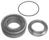 NK 763608 Wheel Bearing Kit