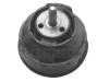 CORTECO 80000316 Engine Mounting