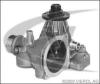 VAICO V20-50025 (V2050025) Water Pump