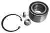FLENNOR FR191196 Wheel Bearing Kit
