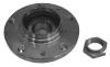 FLENNOR FR691258 Wheel Bearing Kit