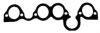 ELWIS ROYAL 0256029 Gasket, intake manifold