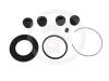 AUTOFREN SEINSA D4666 Repair Kit, brake caliper