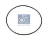 DT 1.10215 (110215) Seal Ring