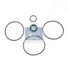DT 2.95127 (295127) Gasket Set, steering gear