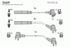 TESLA T640P Ignition Cable Kit