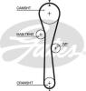 GATES 5577XS Timing Belt