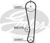 GATES 5591XS Timing Belt