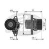 GATES T38456 Tensioner Pulley, v-ribbed belt