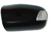 VAN WEZEL 3029841 Cover, outside mirror