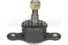 HERTH+BUSS JAKOPARTS J4862007 Ball Joint