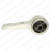 DELPHI TD650W Control Arm-/Trailing Arm Bush