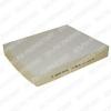 DELPHI TSP0325139 Filter, interior air