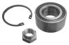 NK 759911 Wheel Bearing Kit