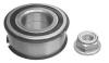 NK 753918 Wheel Bearing Kit