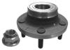 NK 754813 Wheel Bearing Kit