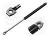 MEYLE 3401610310 Gas Spring, boot-/cargo area