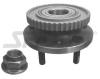 SPIDAN 26846 Wheel Bearing Kit