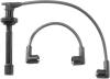BERU 0300890896 Ignition Cable Kit